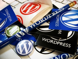 Premium WordPress Themes – Check Out The Major Types Available For You