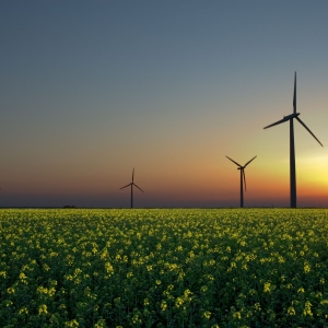 Sun powered Renewable Energy - Energy With World Class Appeal