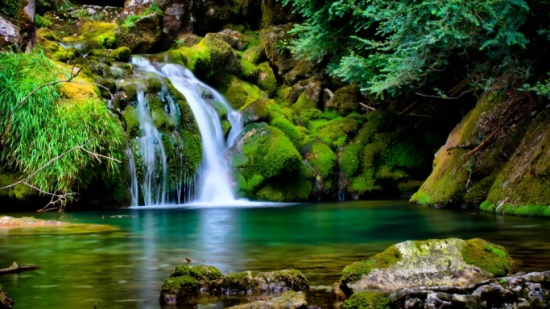 What Does the Environment Consist Of