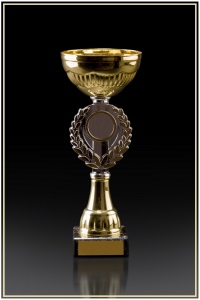 Trophy cup