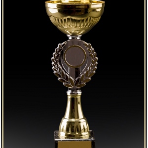 Trophy cup