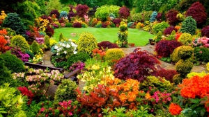 Choosing The Ideal Color For Your Garden