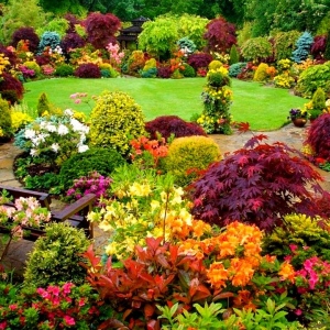 Choosing The Ideal Color For Your Garden