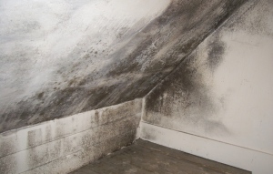 5 Best Condensation Treatments To Keep Your House Mould Free