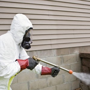 World Class Pest Control Services In Edmonton