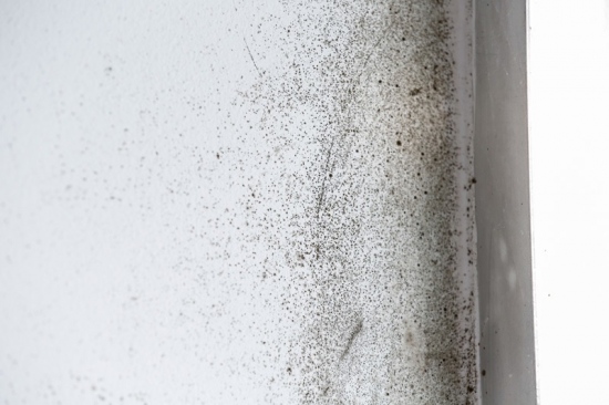 Different Tips To Get Rid Of Damp And Mould