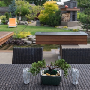 Revamping Your Backyard