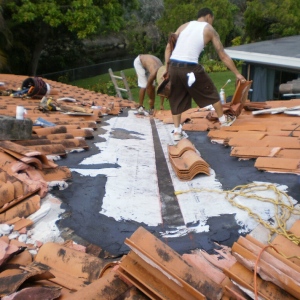 Roof Cleaning - Let The Specialists Do It For You