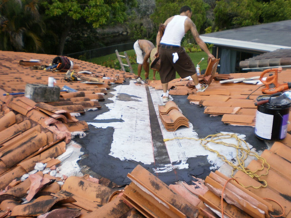 Roof Cleaning - Let The Specialists Do It For You