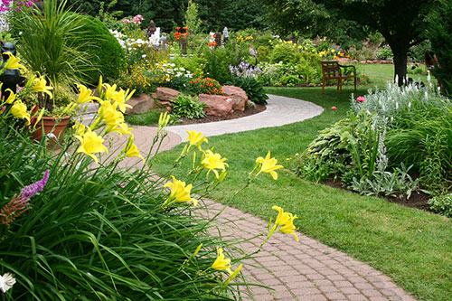 Revamping Your Backyard