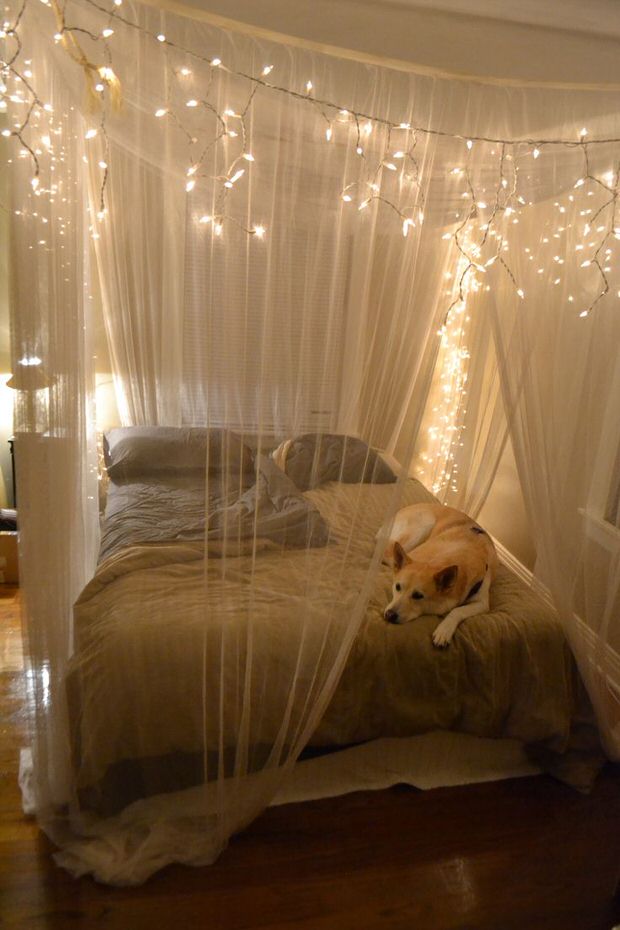 Starry Starry String Lights: Year Round Home Decor!