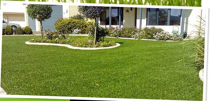 Artificial Lawns: Aesthetic But Not Toilsome