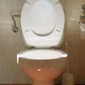 The Toilet Keeper-Who Knows What Works For Best Toilet