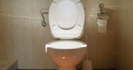 The Toilet Keeper-Who Knows What Works For Best Toilet