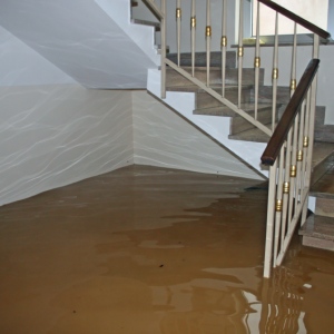 Water Damage Restoration – Why You Shouldn’t Let Water Damage Rest