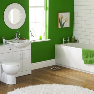 bathroom decorating ideas with combined paint colors ideas