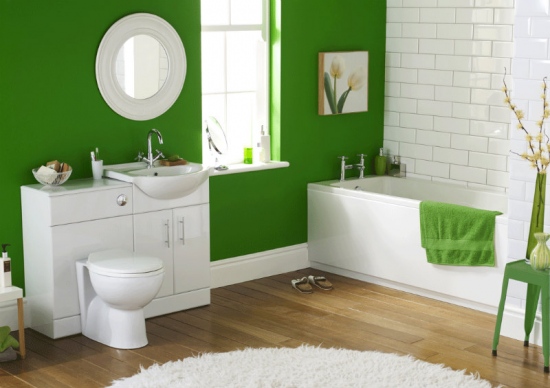 bathroom decorating ideas with combined paint colors ideas
