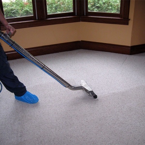 Reduce Improvement Costs by Professionally Cleaning Carpets