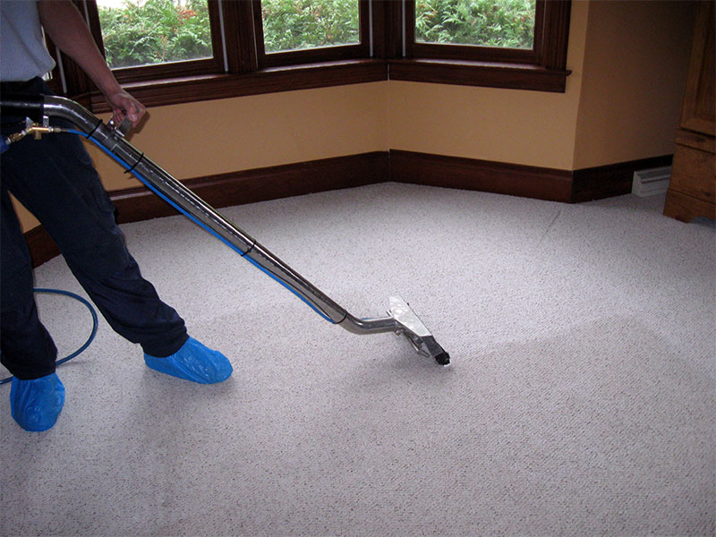 Reduce Improvement Costs by Professionally Cleaning Carpets