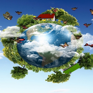 Benefits Of ISO 14001 Environmental Management System In Queensland