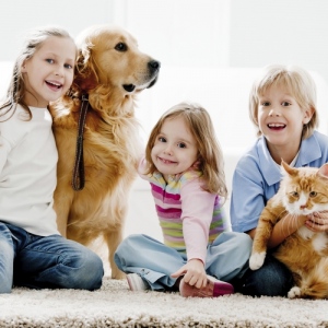 Protect Your Family, Pets and Carpet With Green Cleaners