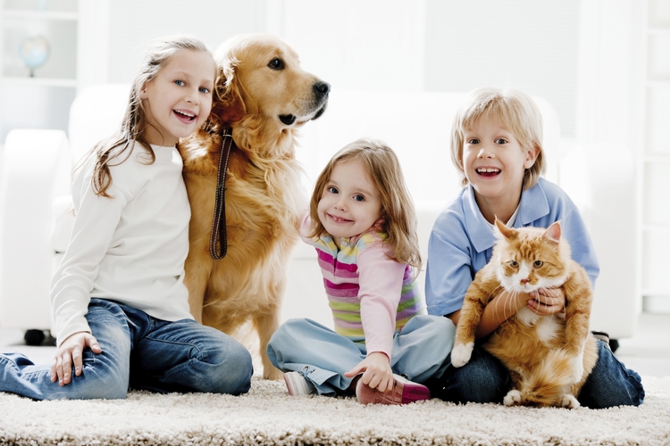 Protect Your Family, Pets and Carpet With Green Cleaners