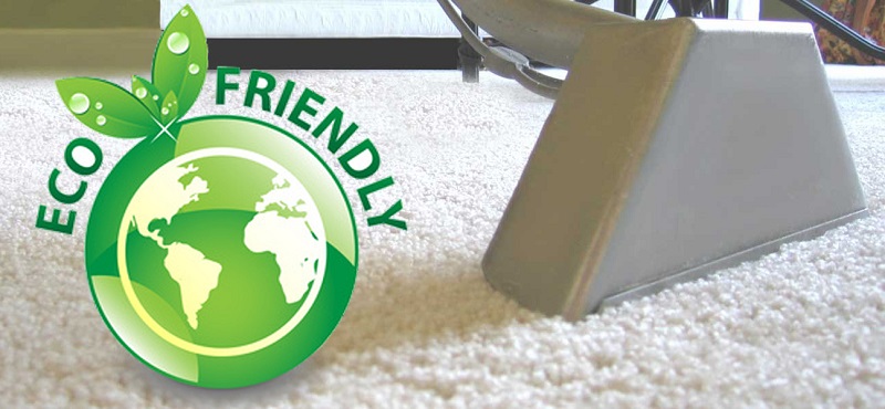 Protect Your Family, Pets and Carpet With Green Cleaners
