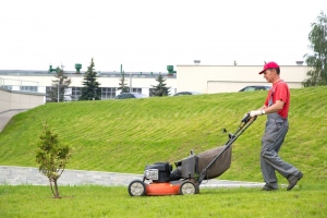 commercial lawn mowers melbourne