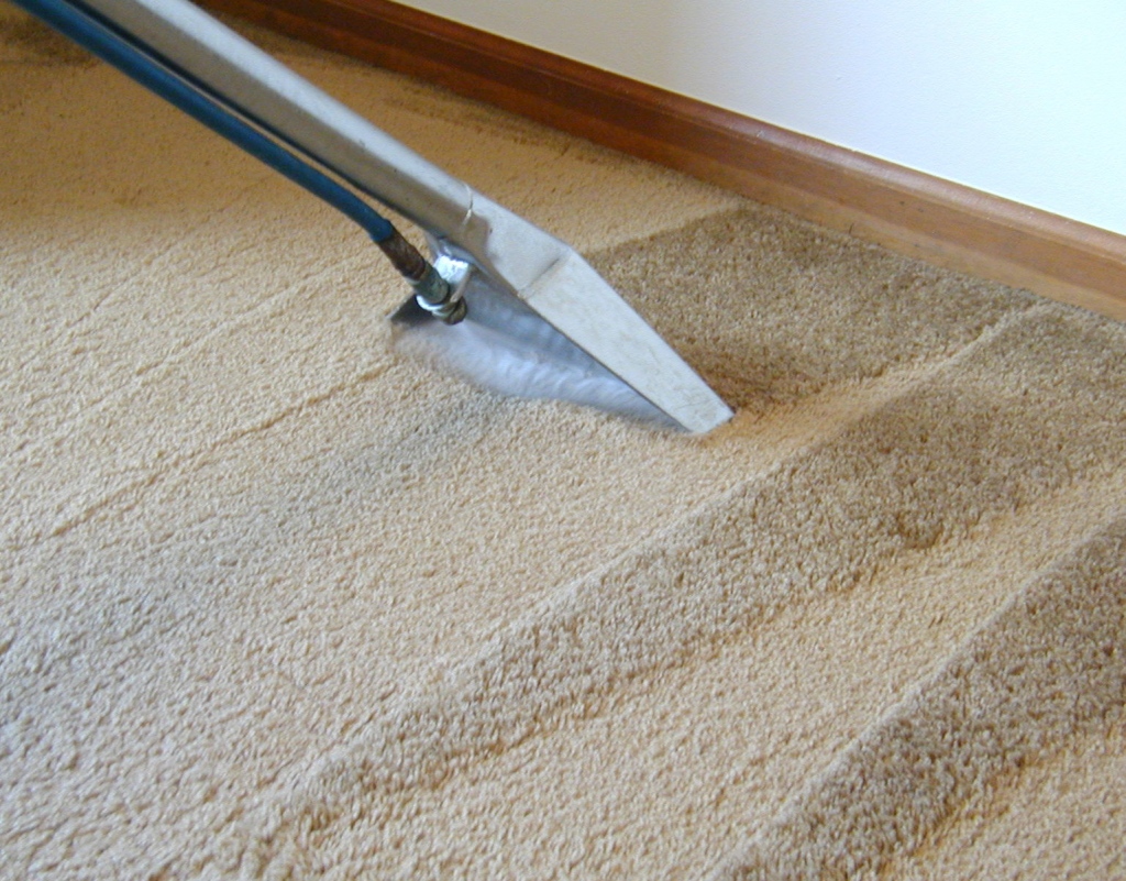 Why It Is Recommended To Hire A Professional Cleaning Agency For Carpets Cleaning