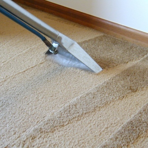 Why It Is Recommended To Hire A Professional Cleaning Agency For Carpets Cleaning