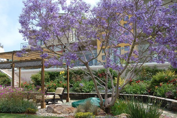 garden with ascent decor