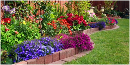 Why You Need To Practice Gardening Often