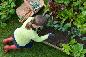 Why You Need To Practice Gardening Often