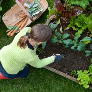 Why You Need To Practice Gardening Often