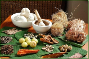 Ayurveda- A Brief Insight Into The Healing System