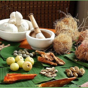 Ayurveda- A Brief Insight Into The Healing System