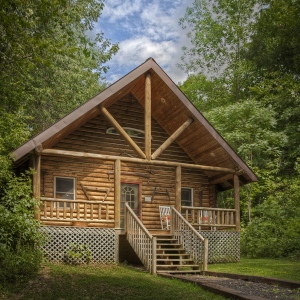 Why Log Homes Are A Favorite Choice Of Many?