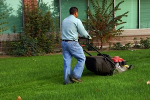 Commercial Lawn Mowers