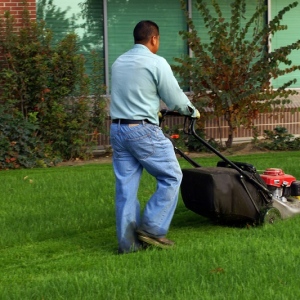 Commercial Lawn Mowers