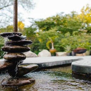 Water Features in Your Backyard