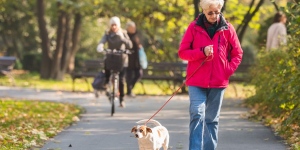 Always Search For The Best Insurance Company In Town For Getting Dog Walking Insurance