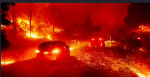 California fire rages toward Santa Rosa forcing evacuations
