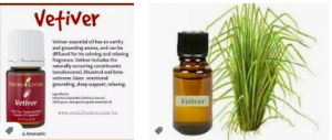 Vetiver Essential oil