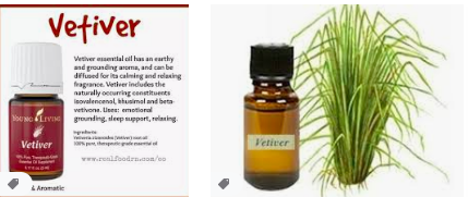 Vetiver Essential oil