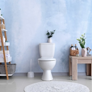 What to Do If Your Toilet Continues to Make Noise After Flushing