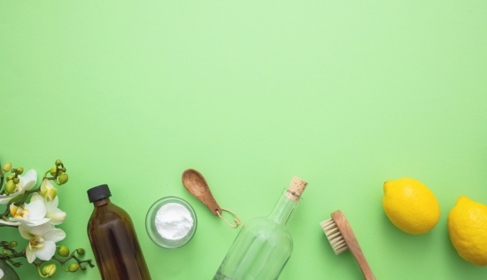 Can You Prevent Pests In Your Home With Natural Products?