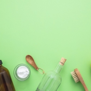 Can You Prevent Pests In Your Home With Natural Products?